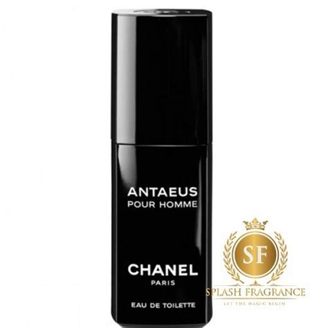 antaeus fragrantica